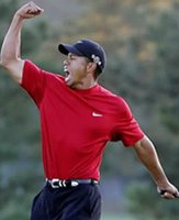 Tiger Woods on Wikipedia